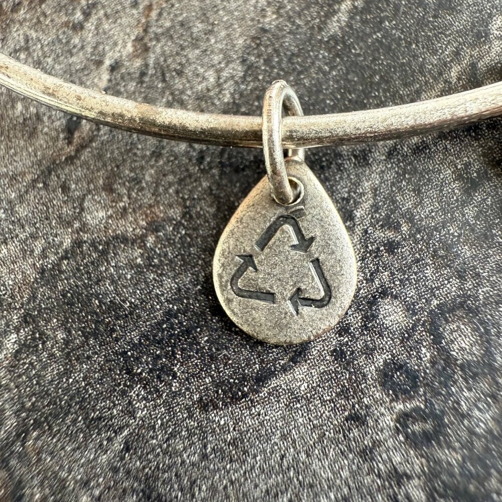 Alex and Ani Apple Charm Bracelet Silver Nature Expandable Bangle - Picture 10 of 14